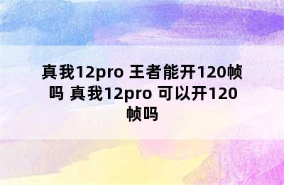 真我12pro+王者能开120帧吗 真我12pro+可以开120帧吗